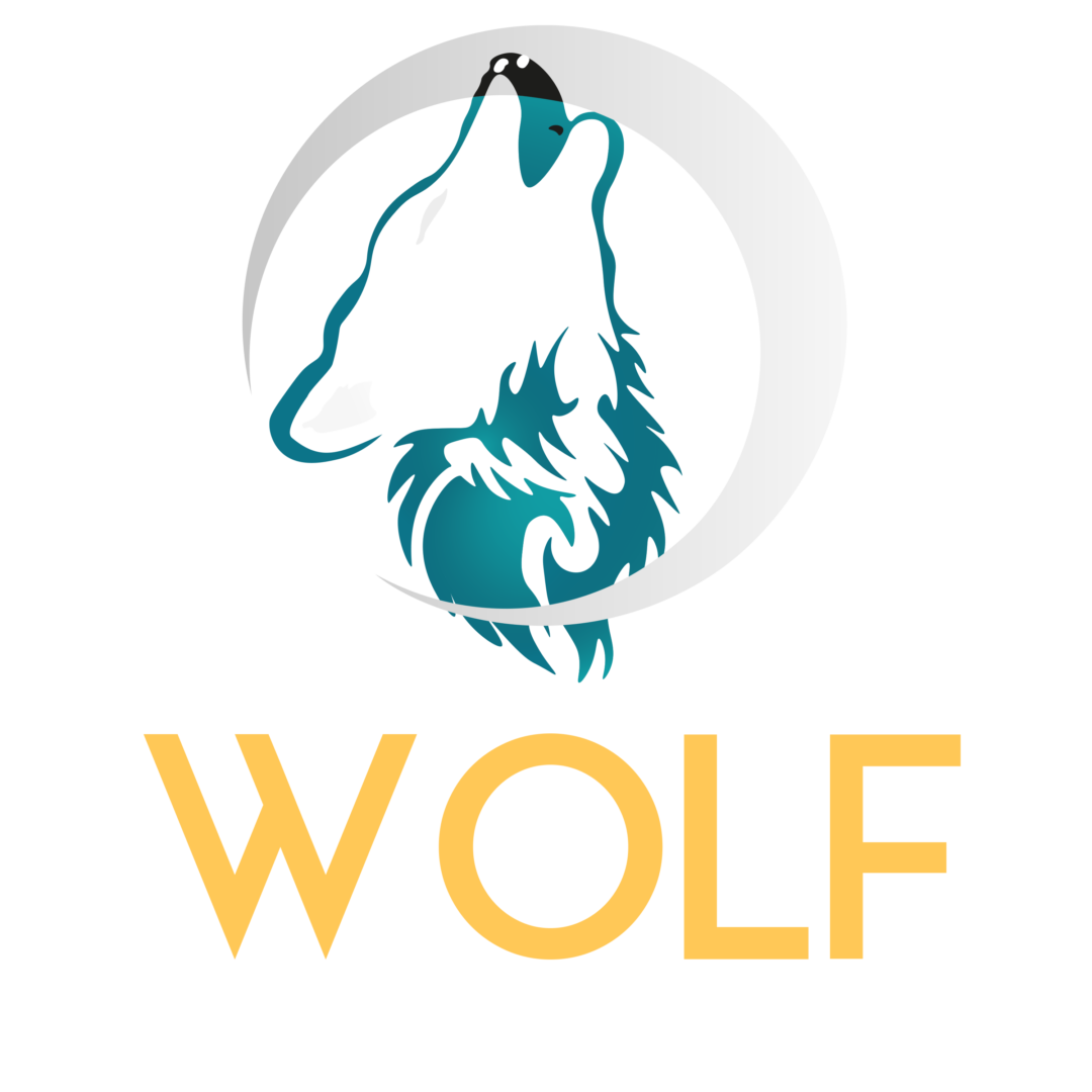 Wolfstreaming.store. Desde 2019 trabajando para ti.